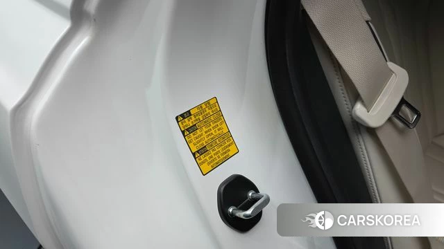 Genesis Electrified G80 (RG3) id 4429005 из Кореи 24