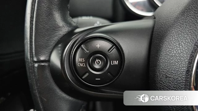 Mini Cooper Countryman id 4620541 из Кореи 24