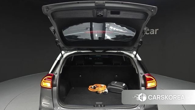 Kia Niro EV id 4646607 из Кореи 24