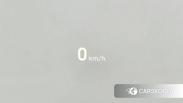 Genesis G80 id 4759817 из Кореи 24