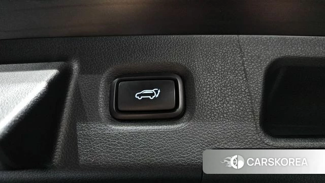 Hyundai The New Santa Fe id 4848816 из Кореи 24