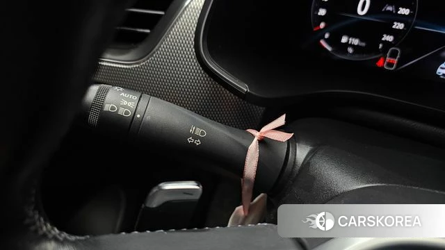 Renault Korea (Samsung) XM3 id 4768501 из Кореи 25