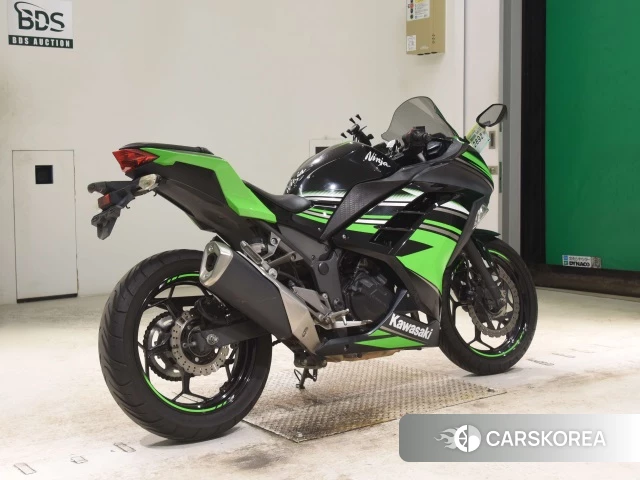 Kawasaki NINJA 250 ABS id 3946850 из Японии 25