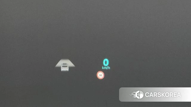 Renault Korea (Samsung) Grand Coleos id 4767491 из Кореи 25
