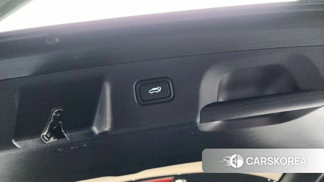 Hyundai Palisade id 4282524 из Кореи 25