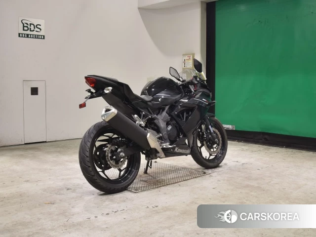 Kawasaki NINJA 250SL id 3949289 из Японии 25