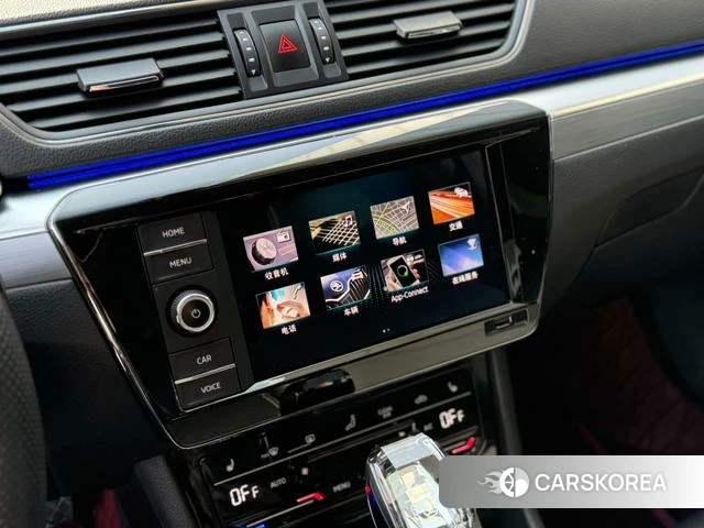 Skoda Speed pie id 4207761 из Китая 25