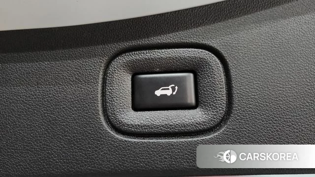 Renault Korea (Samsung) The New QM6 id 4854832 из Кореи 25