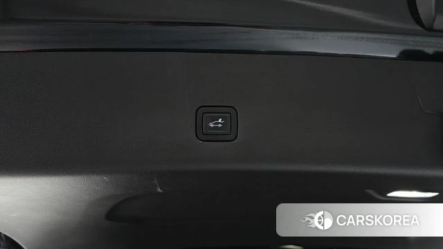Chevrolet (GM Daewoo) Traverse id 4779965 из Кореи 24