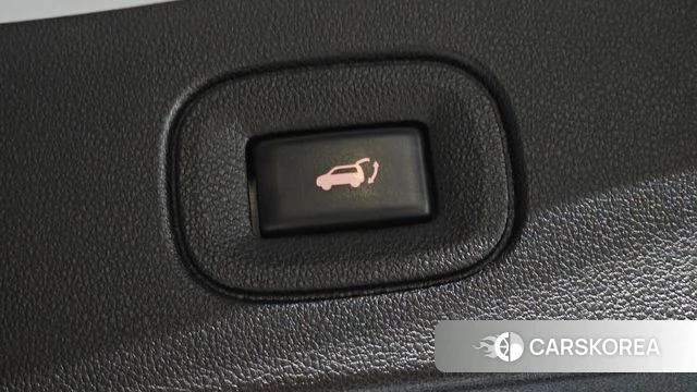 Renault Korea (Samsung) The New QM6 id 4854863 из Кореи 25