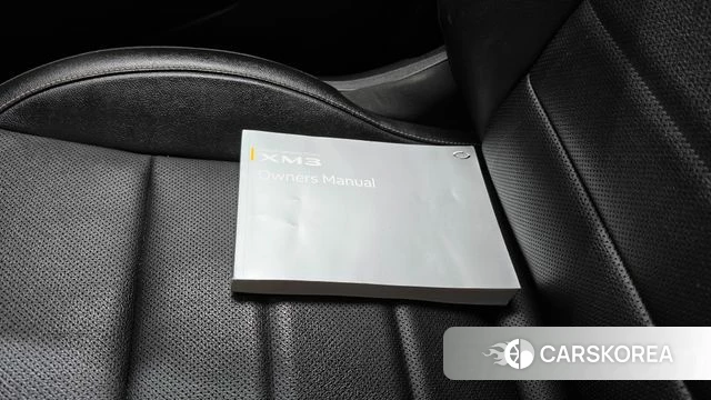 Renault Korea (Samsung) XM3 id 4849510 из Кореи 25