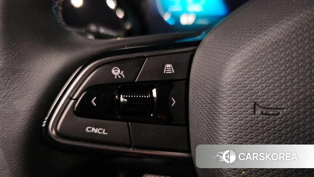 Renault Korea (Samsung) Grand Coleos id 4342507 из Кореи 25