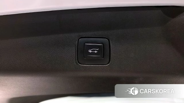 Chevrolet (GM Daewoo) Trailblazer id 4445995 из Кореи 25