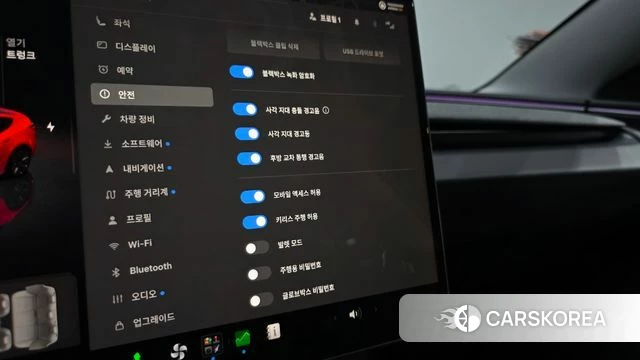 Tesla Model 3 id 4767307 из Кореи 25