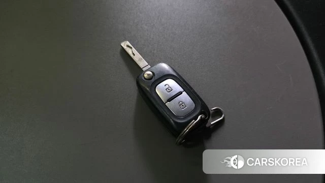 Renault Korea (Samsung) Master id 4231551 из Кореи 25
