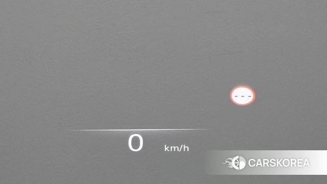 Genesis Electrified G80 (RG3) id 4740680 из Кореи 25