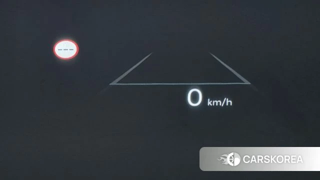 Hyundai Santa Fe (MX5) id 4935265 из Кореи 25