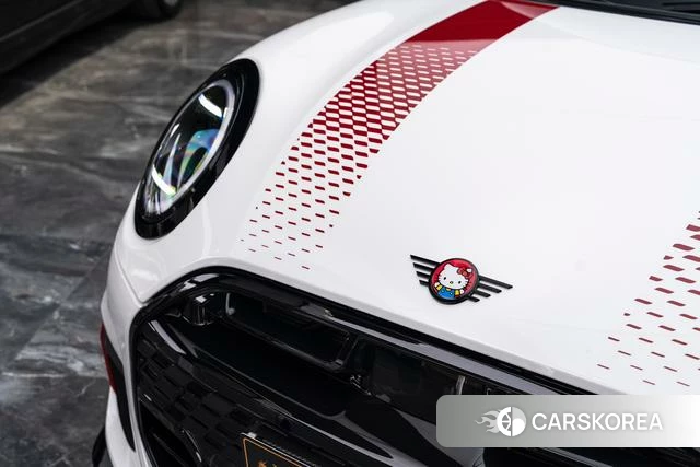 MINI JCW id 3920601 из Китая 25