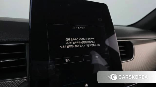 Renault Korea (Samsung) XM3 id 4692178 из Кореи 25