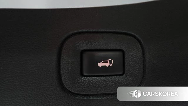 Renault Korea (Samsung) The New QM6 id 4495883 из Кореи 25