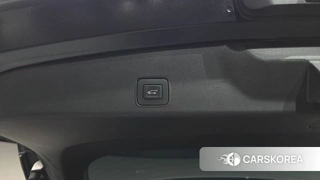 Chevrolet (GM Daewoo) Trailblazer id 4630835 из Кореи 25