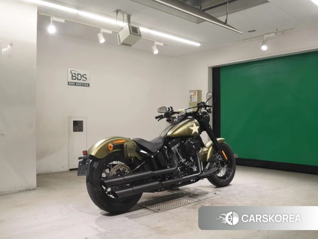 Harley-Davidson Softail Slim S FLSS1800 id 3946322 из Японии 25