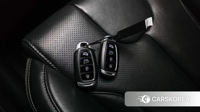 Hyundai Santa Fe TM id 4689105 из Кореи 25