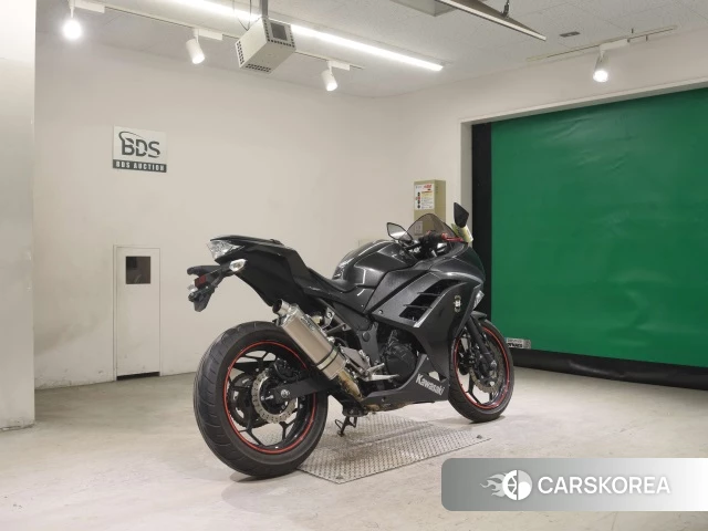 Kawasaki NINJA 250 id 3947292 из Японии 25
