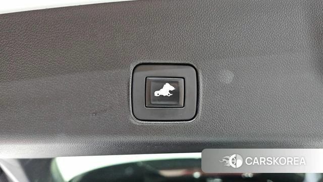 Chevrolet (GM Daewoo) Trailblazer id 4632198 из Кореи 25
