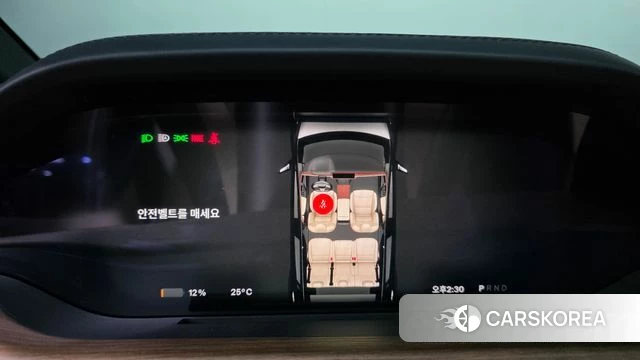 Tesla Model X id 4853369 из Кореи 25