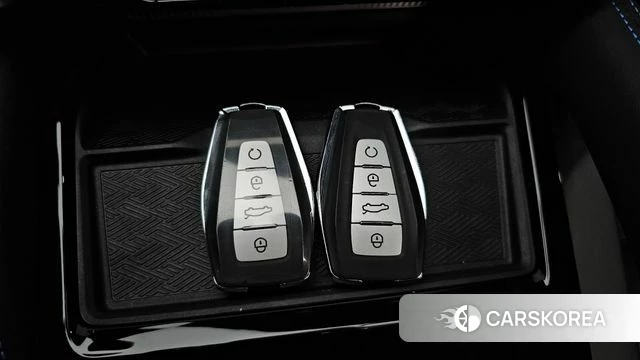 Renault Korea (Samsung) Grand Coleos id 4649821 из Кореи 25