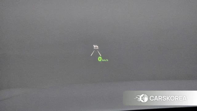 Hyundai Palisade id 4203537 из Кореи 25