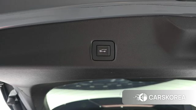 Chevrolet (GM Daewoo) Trailblazer id 4631979 из Кореи 26