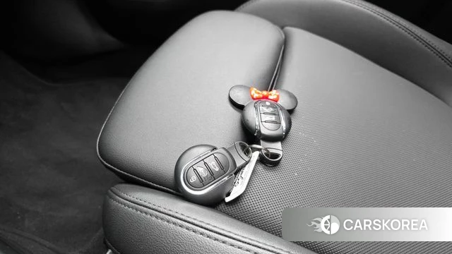 Mini Cooper Countryman id 4783699 из Кореи 26