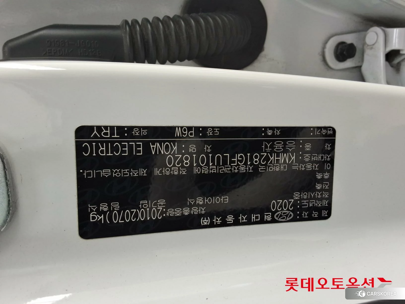 Hyundai KONA Electric id 4679282 из Кореи 26