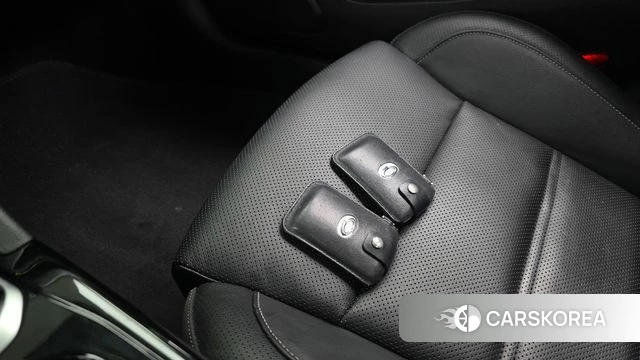 Renault Korea (Samsung) SM6 id 4530210 из Кореи 26