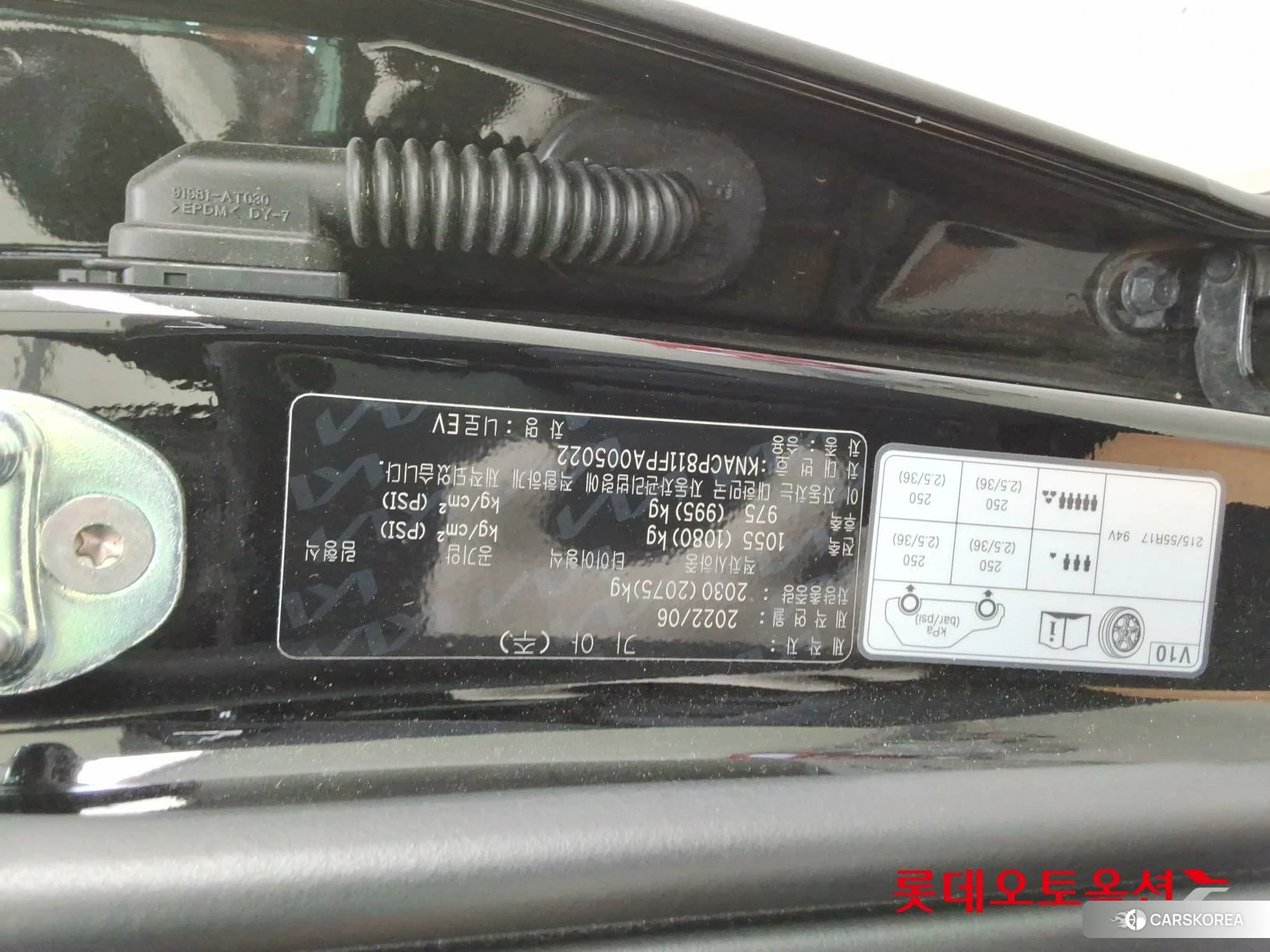 Kia Niro EV id 4902404 из Кореи 26