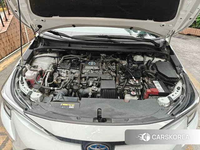 Toyota Lei Ling id 4307574 из Китая 26