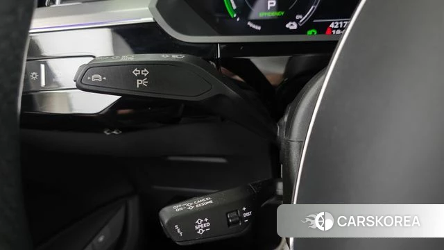 Audi e-Tron id 4585143 из Кореи 26