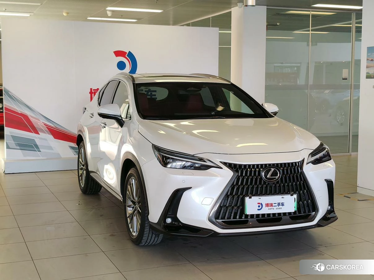 Lexus NX PHEV id 4498690 из Китая 26