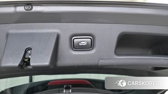 Hyundai Santa Fe TM id 4620355 из Кореи 26