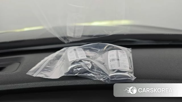 Genesis Electrified G80 (RG3) id 4740680 из Кореи 26