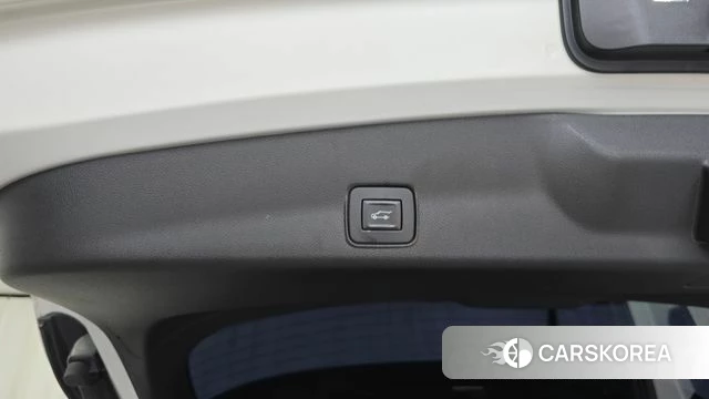 Chevrolet (GM Daewoo) Trailblazer id 4567997 из Кореи 26