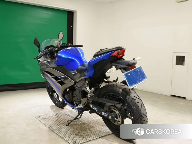 Kawasaki NINJA 250 ABS id 3947108 из Японии 26