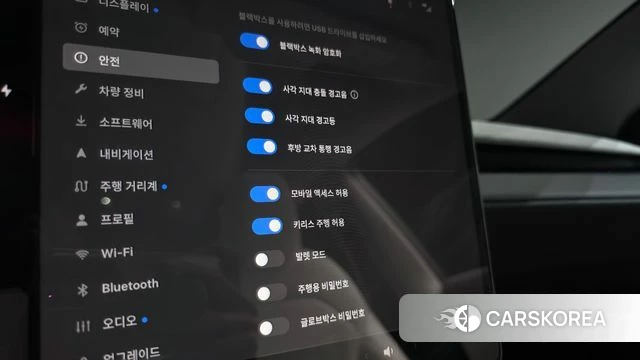 Tesla Model Y id 4739204 из Кореи 26