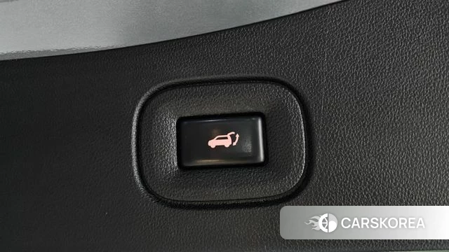 Renault Korea (Samsung) The New QM6 id 4871597 из Кореи 26
