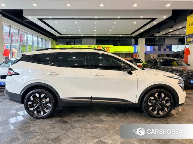 Kia Lion Platinum expands the world id 4297723 из Китая 26
