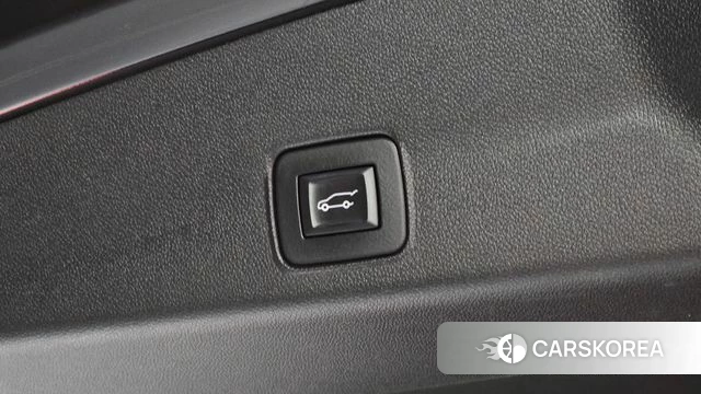 Chevrolet (GM Daewoo) Trailblazer id 4697126 из Кореи 26