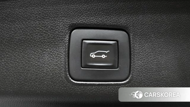 Chevrolet (GM Daewoo) Trailblazer id 4937028 из Кореи 26