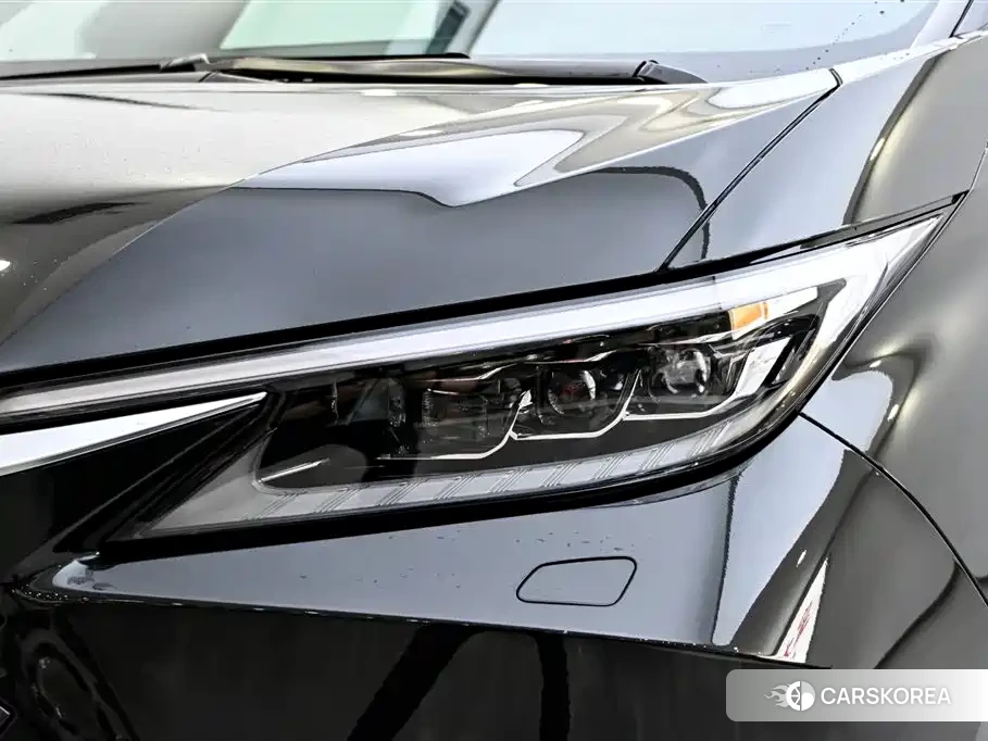 Lexus LM id 4589114 из Китая 26